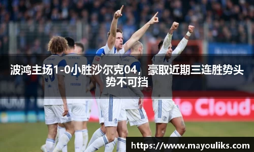 波鸿主场1-0小胜沙尔克04，豪取近期三连胜势头势不可挡