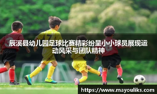 辰溪县幼儿园足球比赛精彩纷呈小小球员展现运动风采与团队精神